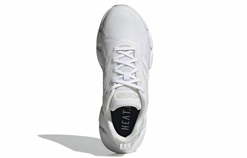 Кроссовки Adidas Ventice Climacool