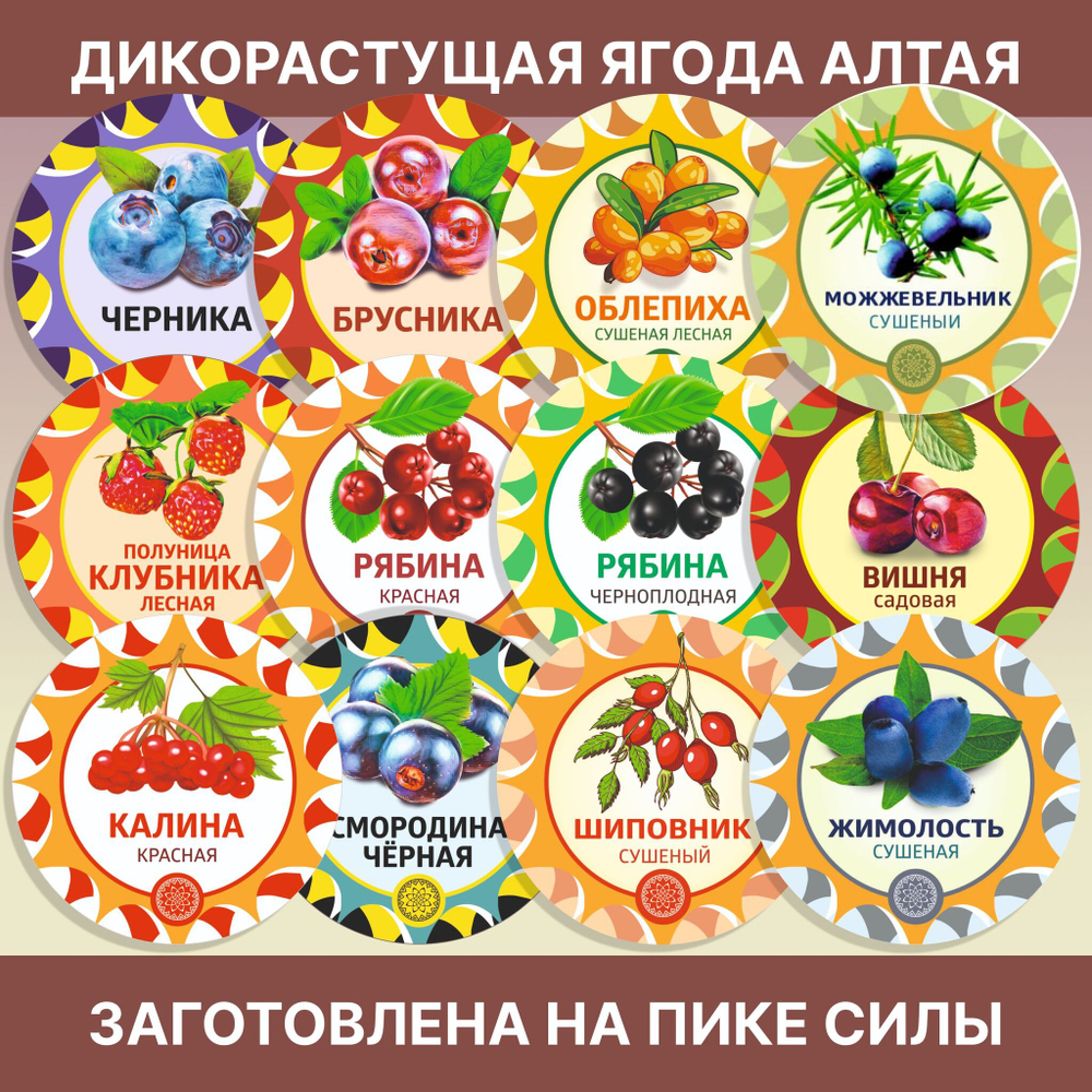 Шиповник сушеный Алтайский " Лесной"