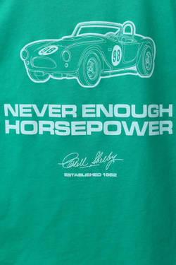 ZARA ФУТБОЛКА SHELBY®, ЗЕЛЕНЫЙ