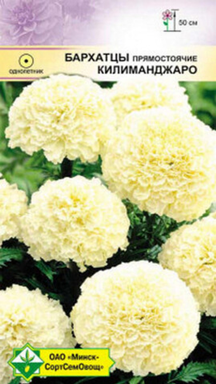 Бархатцы "Килиманджаро" 0.5г., Германия.