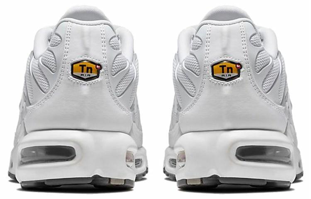 Кроссовки Nike Air Max Plus
