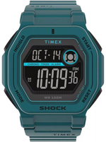 Мужские наручные часы Timex TW2V59900