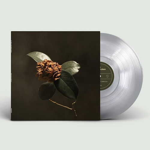 St. Paul & The Broken Bones - Young Sick Camellia - 2025 Reissue - Limited Clear Vinyl