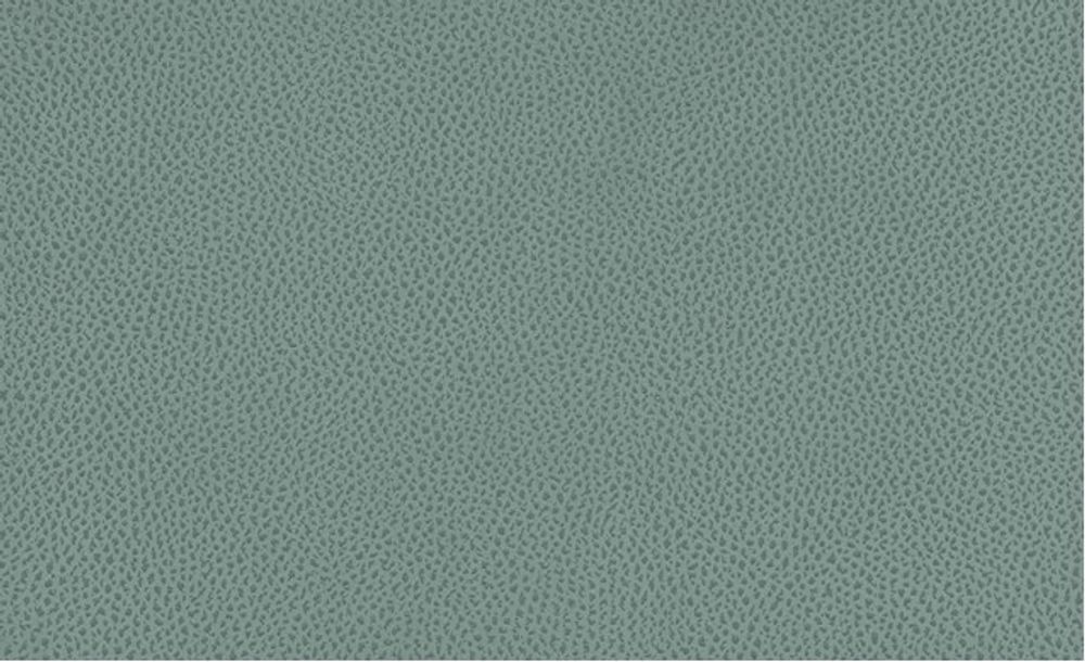 Велюр Tudor (LE) mint (Тудор минт)