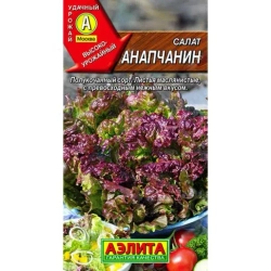Салат красный семена