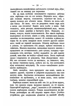 На верблюдах. Воспоминания из жизни в Средней Азии | Н. Уралов