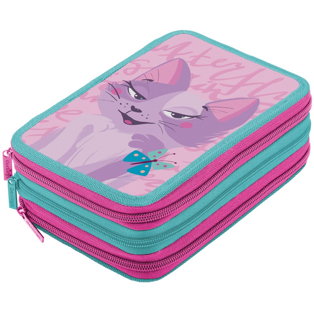 Пенал 3 отделения 200х140х60 Berlingo Princess cat 3, ткань
