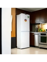 Холодильник двухкамерный R-296 K