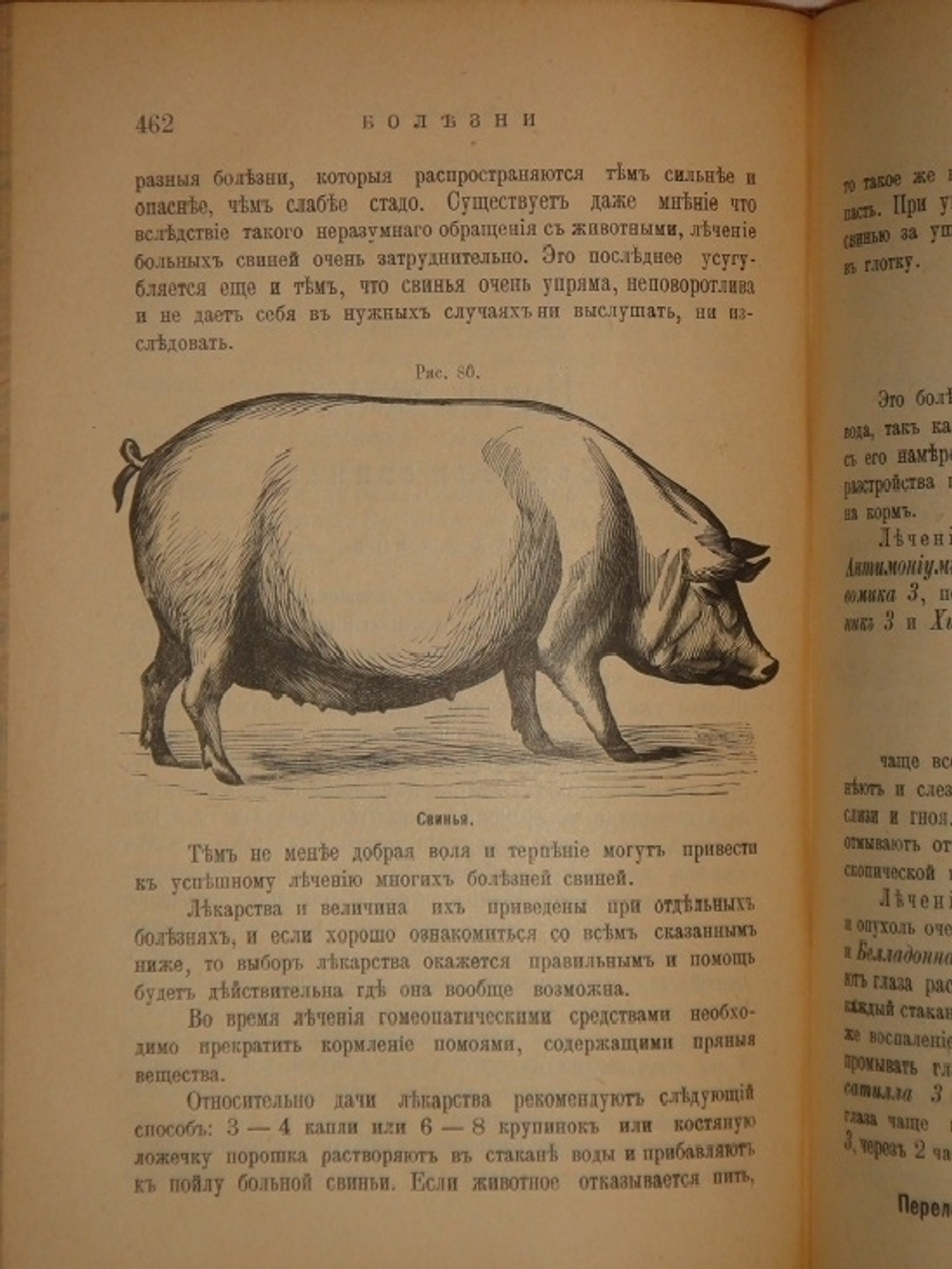 "Иллюстрированный гомеопатический лечебник для домашних животных. Руководство к предупреждению и гомеопатическому лечению болезней лошадей, рогатого скота, овец, свиней, собак и домашней птицы". Вильмар Швабе. 1880г.