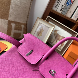 Hermes Birkin 25