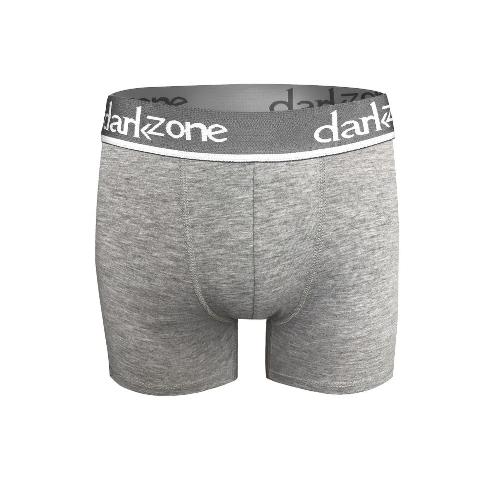 Мужские трусы боксеры серые меланжевые DARKZONE DZN2703