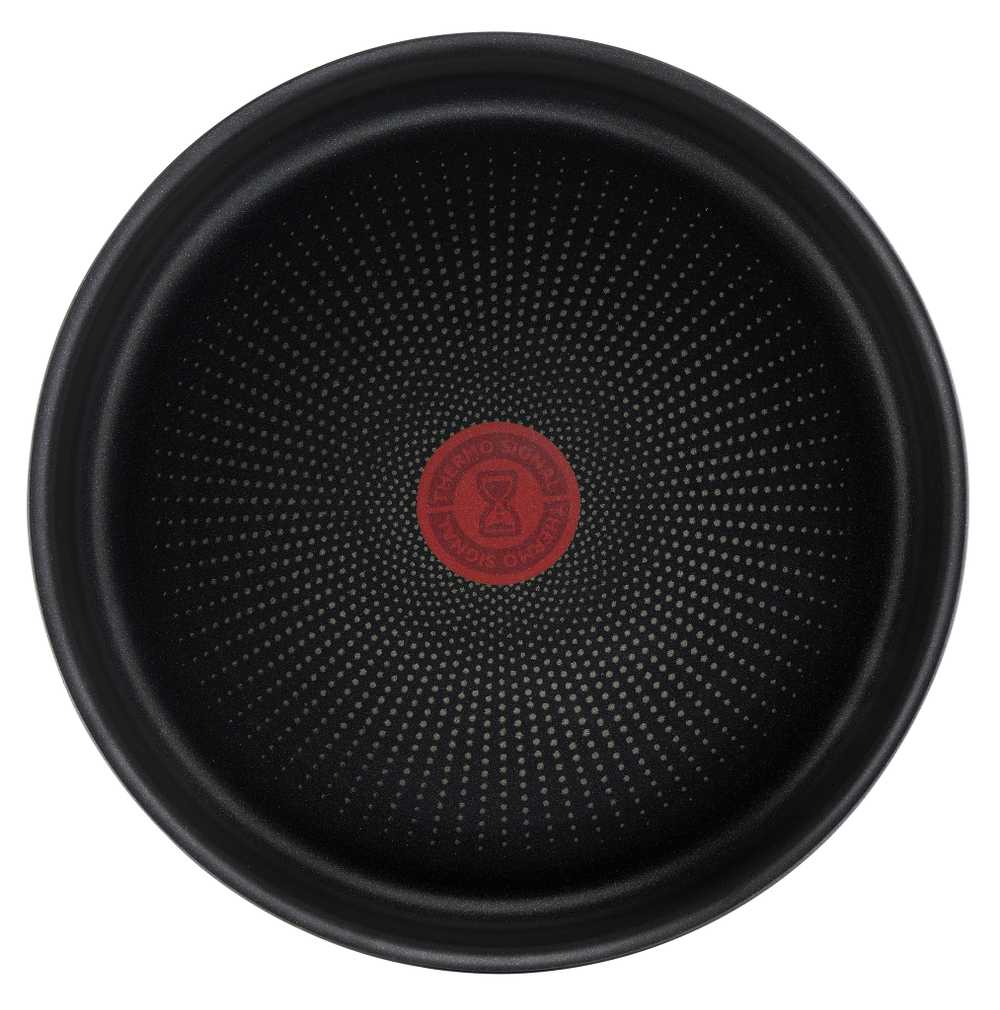 Набор посуды со съемной ручкой Tefal Ingenio Daily Chef Black 10 предметов 16/20/24/24/28 см L7629142
