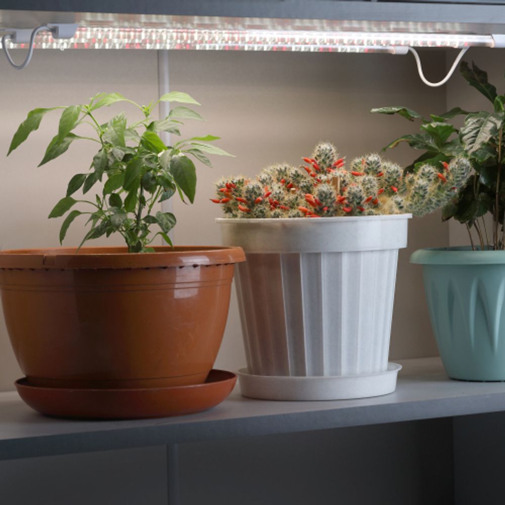 Модульный светильник для растений ЭРА FITO-3х10W-LINE-Ra90 полного спектра 30 Вт