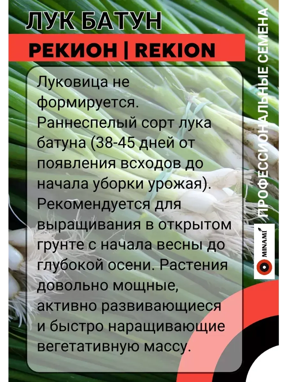 Лук Батун Рекион профессиональные семена 50г