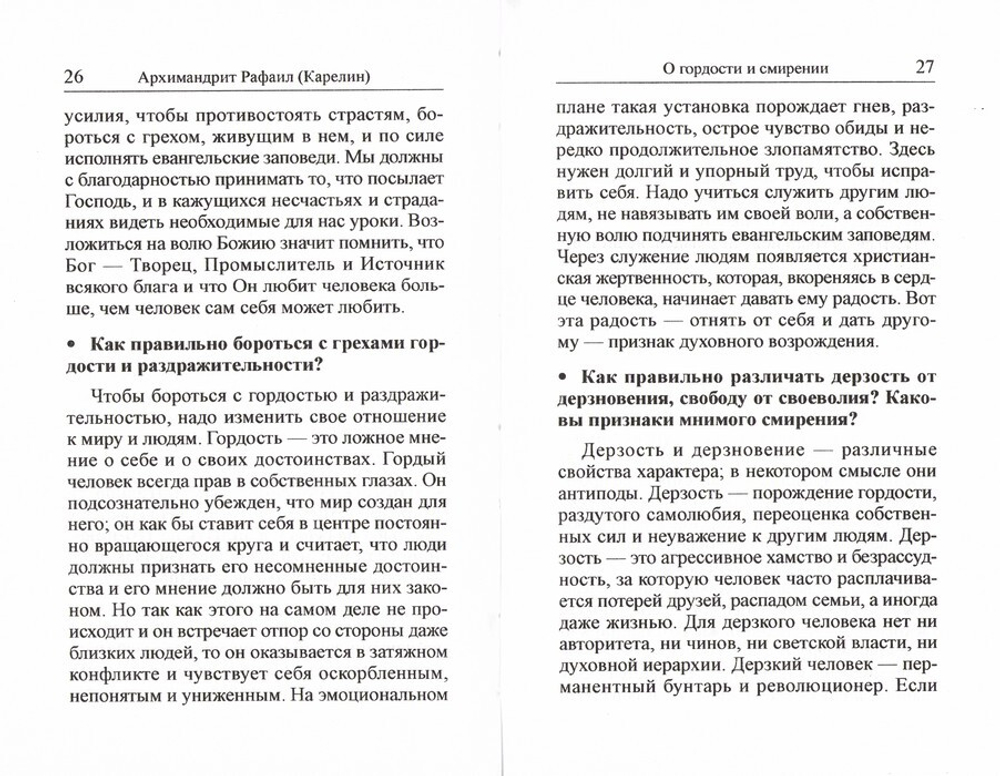 О внешних и внутренних проблемах духовной жизни в 2-х частях. Вопросы-ответы. Архимандрит Рафаил (Карелин)