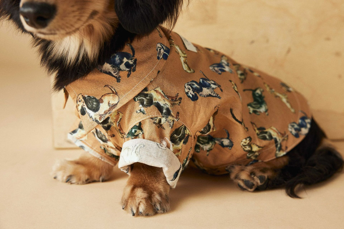 Модные рубашки для новогодних вечеринок!