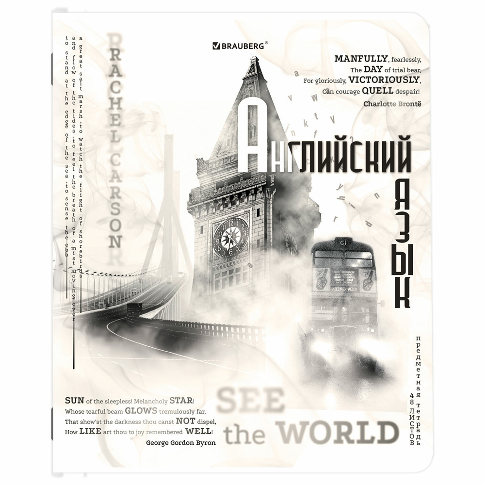 Тетради предметные комплект 12 ПРЕДМЕТОВ 48 л. матовая ламинация BRAUBERG "BLACK&WHITE" (2 штуки в упаковке)