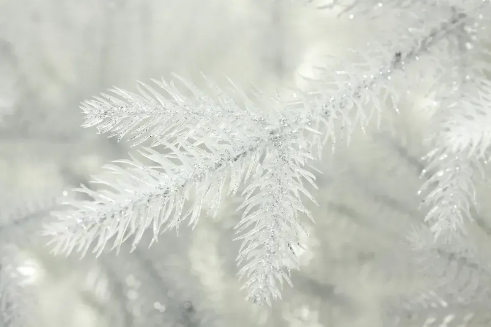 Белая елка «Хрустальная» (Литая хвоя прозрачно-белая) 3 м