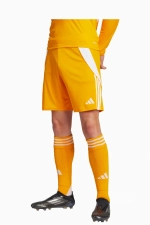Шорты adidas Tiro 24 Training - оранжевый