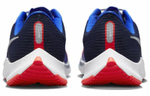 Кроссовки Nike Zoom Rival Fly 3