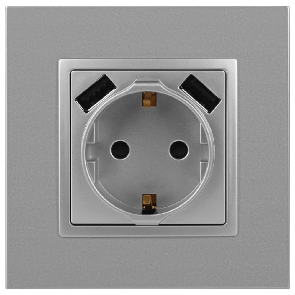 Розетка ЭРА Elegance 14-4109-03 2P+E 16A-250В штор. с 2xUSB 5В-3А алюминий | Эра Elegance
