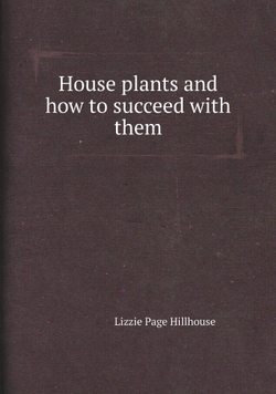 House plants and how to succeed with them | Lizzie Page Hillhouse