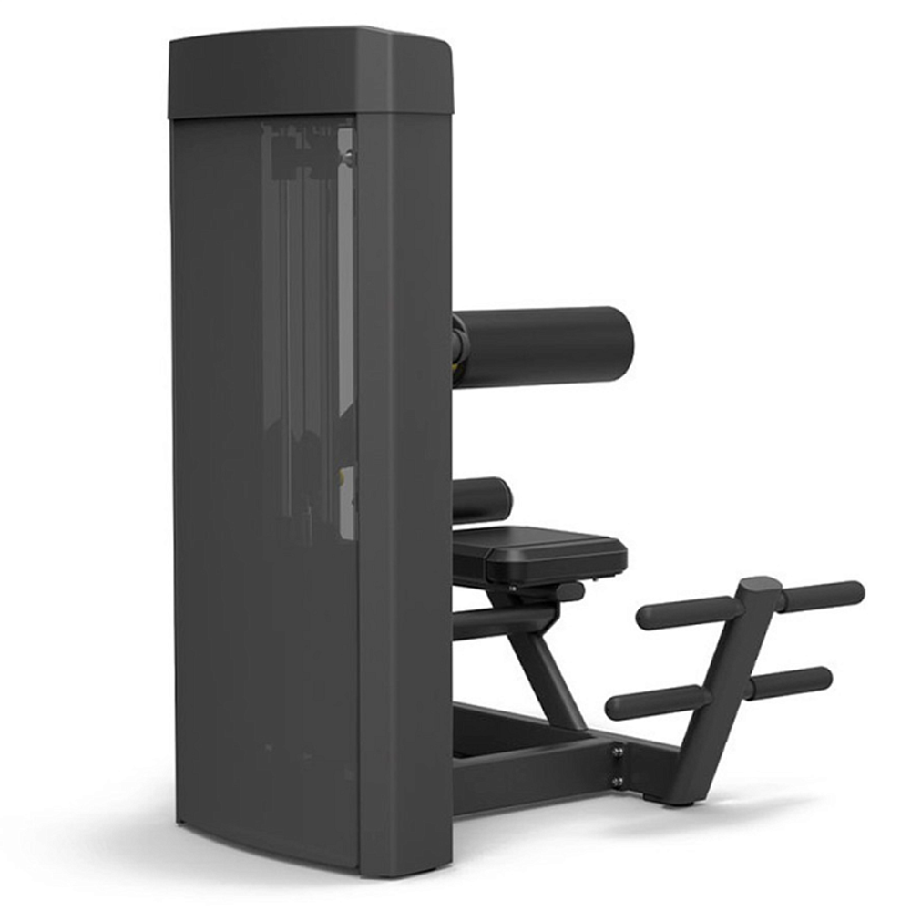 Разгибание спины Spirit SP-4310