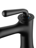 Смеситель для раковины WONZON & WOGHAND STEAM, Черный матовый (WW-88139008-MB)