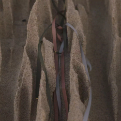 розовая шелковая лента