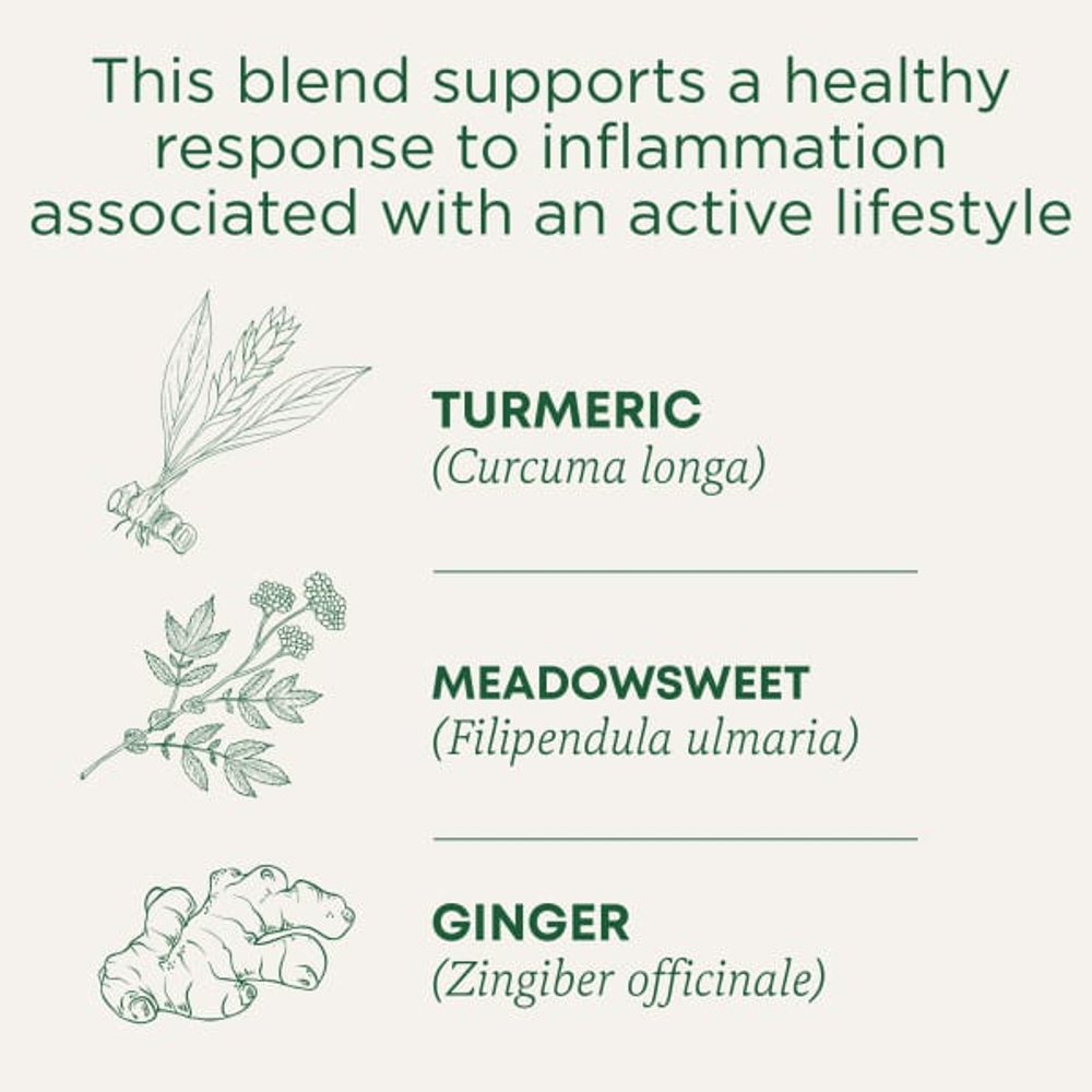 Traditional Medicinals, органическая куркума и имбирь с лабазником, без кофеина, 16 чайных пакетиков в упаковке, 32 г (1,13 унции)