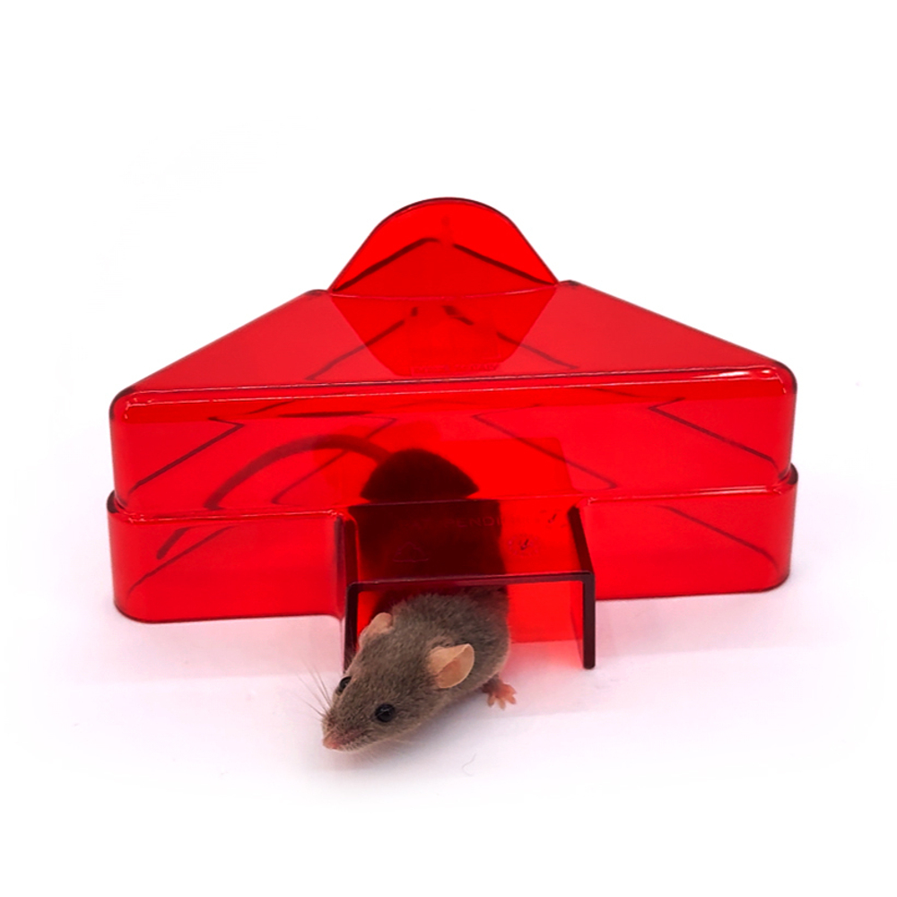 Домик для мышей треугольный