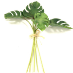 Монстера листья 5 шт