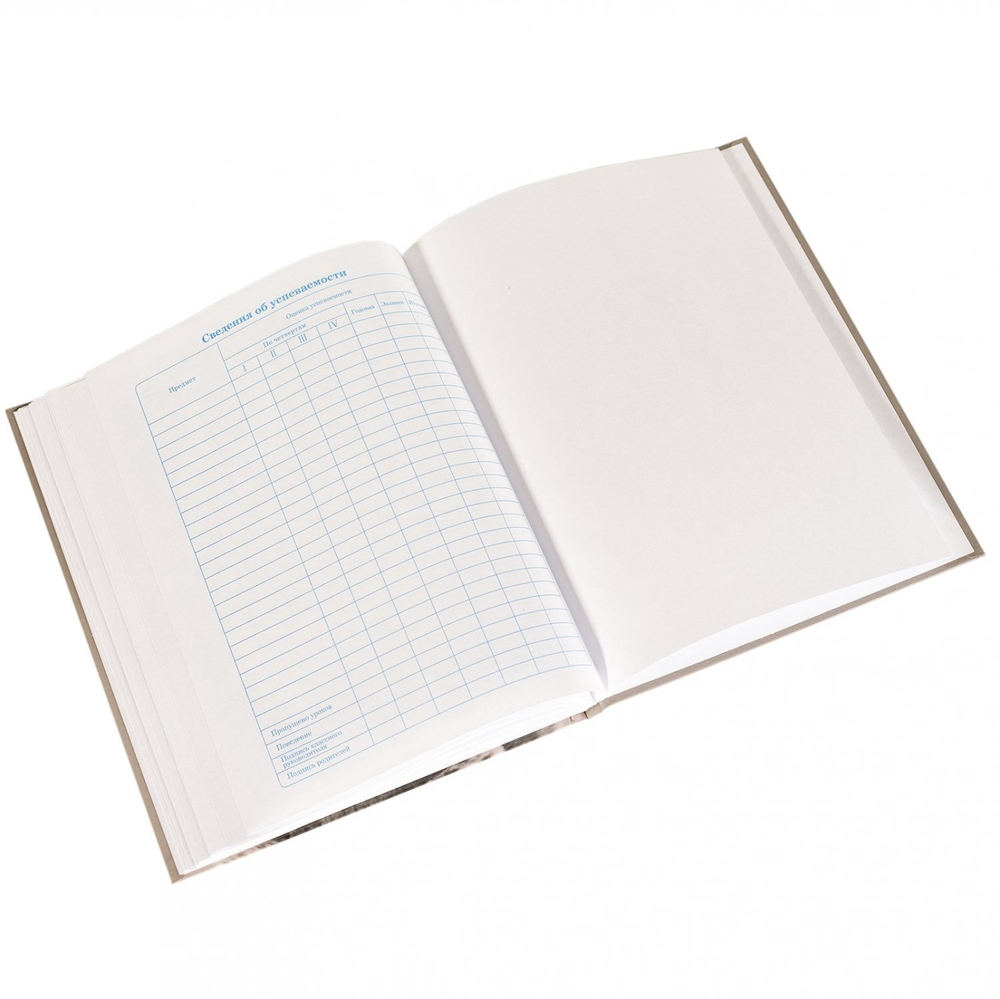 Дневник школьный Alingar, 1-11 кл., 48л., 7БЦ,матовая ламинация, поролон, выб УФ лак,"Black cat"