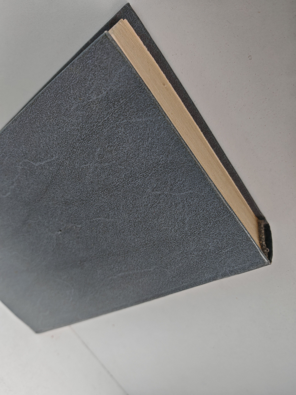 Звонарь из Фридланда