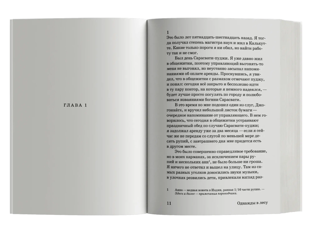 Однажды в лесу