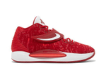 Кроссовки Nike Kd 14 Tb Promo "Gym Red" 14