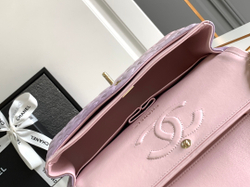 Chanel Bag 25 cm
