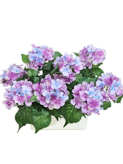 Гортензия лиловая 35см в белом балконном ящике