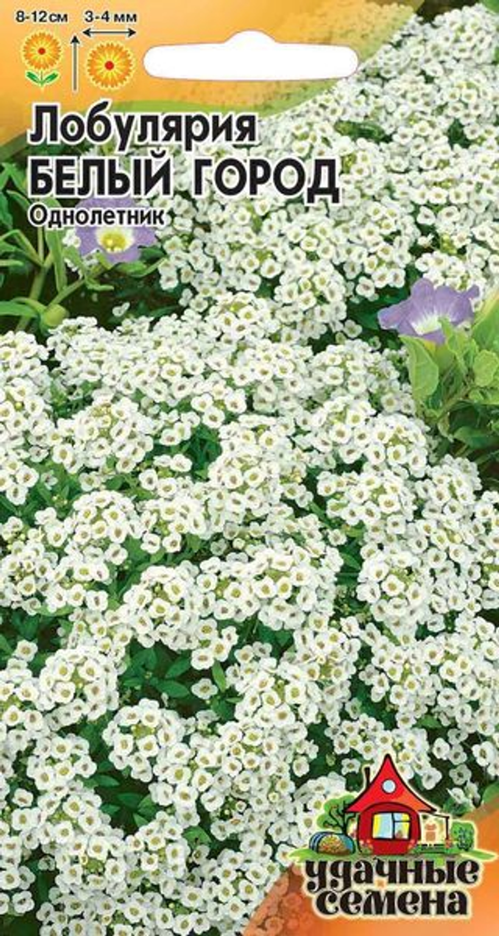 Лобулярия Белый город  0,2гр /Удачные семена  /гавриш