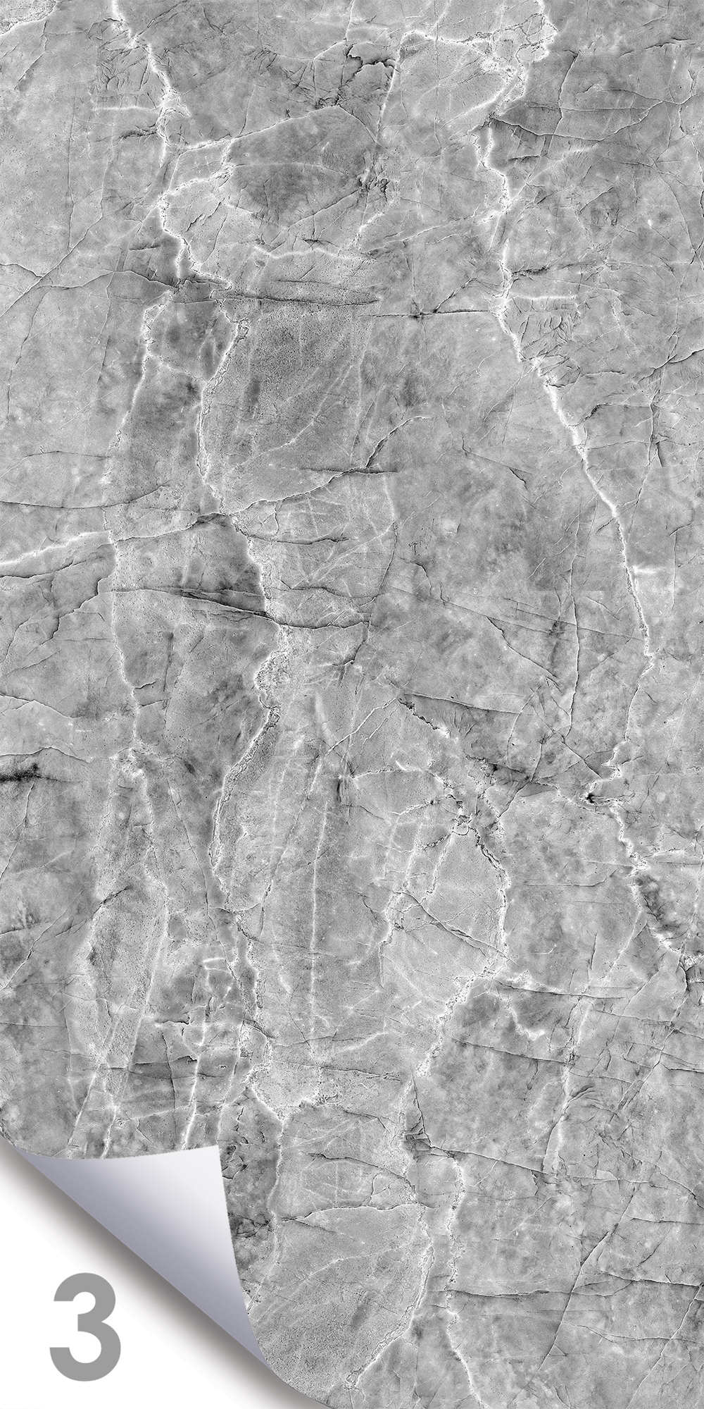 Шерл Сильвер