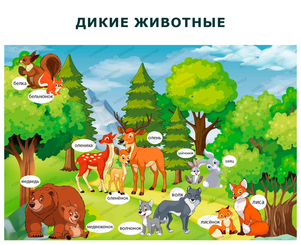 Комплект развивающий Природа: Дикие животные 2169