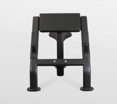 Скамья Скотта Bronze Gym BR-1007