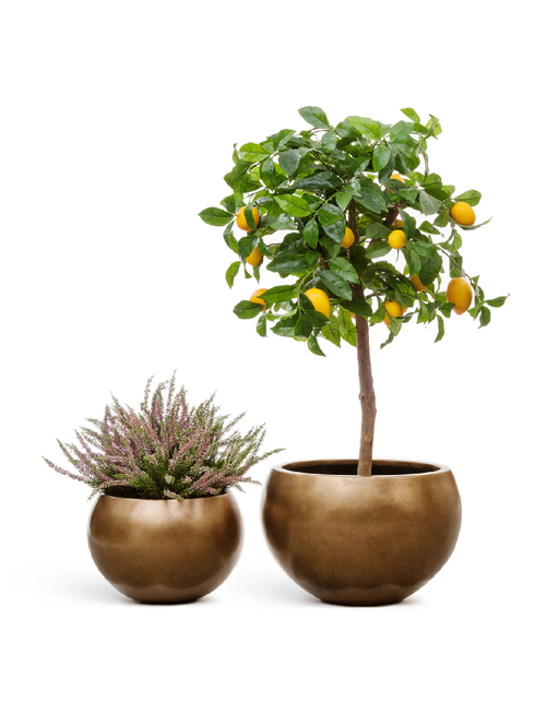 Кашпо TREEZ Effectory Metal Полусфера Тёмное матовое золото д-22 см, в-15 см 41.3318-04-016-BRS-22