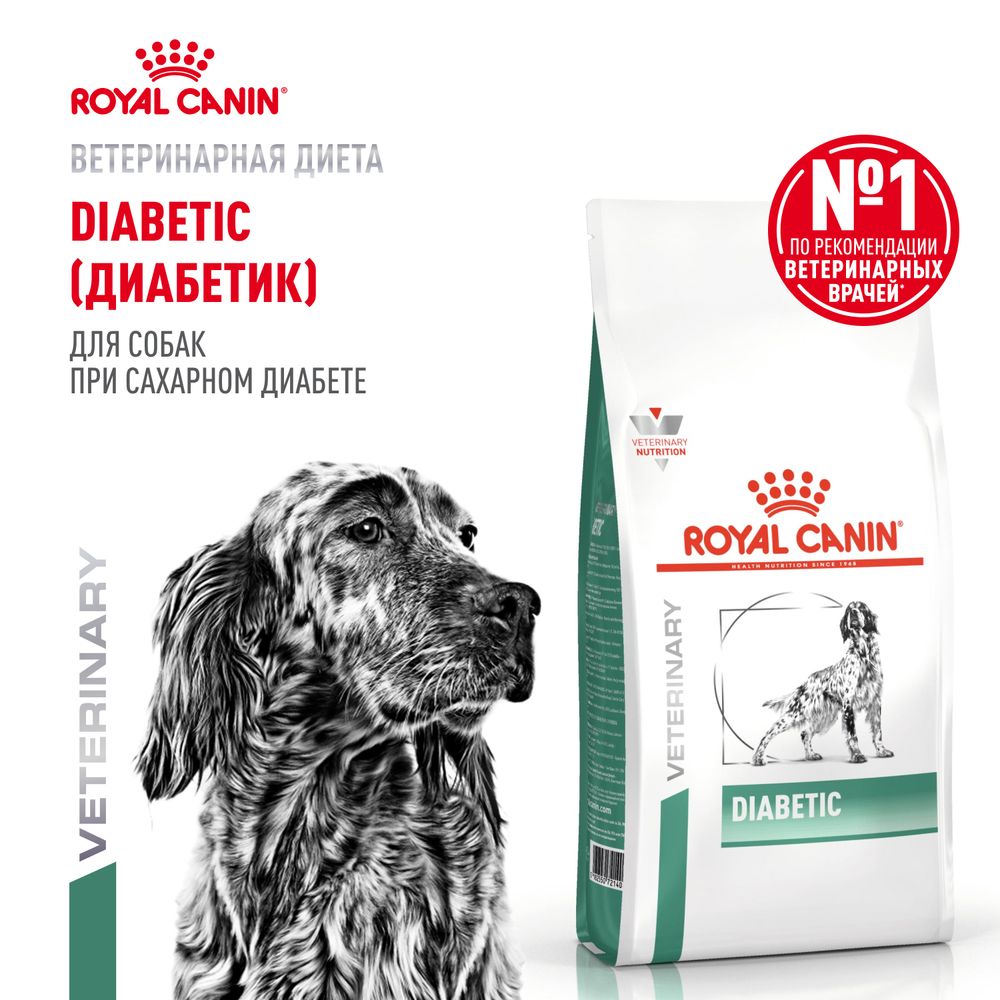 Сухой корм Royal Canin Diabetic для взрослых собак при сахарном диабете Сухой корм Royal Canin Diabetic для взрослых собак при сахарном диабете