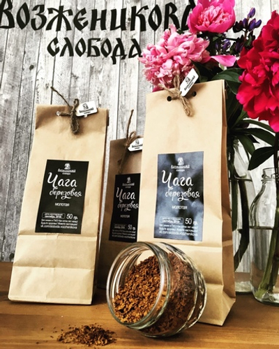 Чага берёзовая