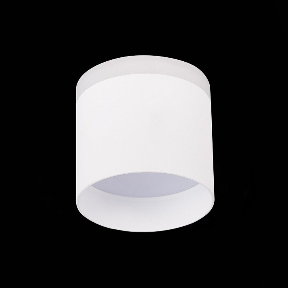 Накладной светильник ST-Luce Panaggio ST102.542.09