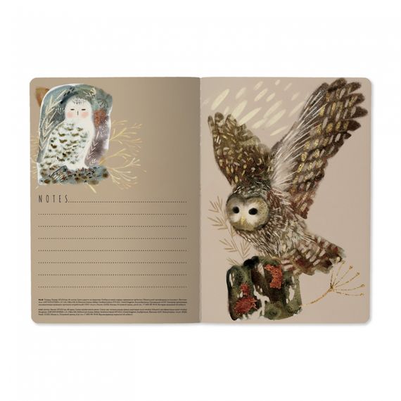 Bloknot \ Блокнот \ Notebook Тетрадь А5, Bruno Visconti "Fauna. Волшебные совы", 40 л. клетка