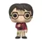 Funko Pop! POP HP: HP Anniversary- Harry w/The Stone