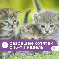 Раствор для инъекций для предотвращения рвоты различного генеза у кошек и собак Фалена (Okvet), 50мл Маропитант