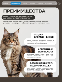 Корм сухой для взрослых кошек породы Мейн-кун, с лососем, 400 гр, QUATTRO